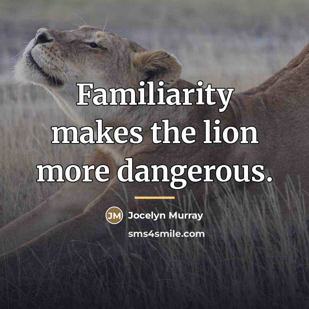 “Familiarity makes the lion more dangerous.…” quote by Jocelyn Murray