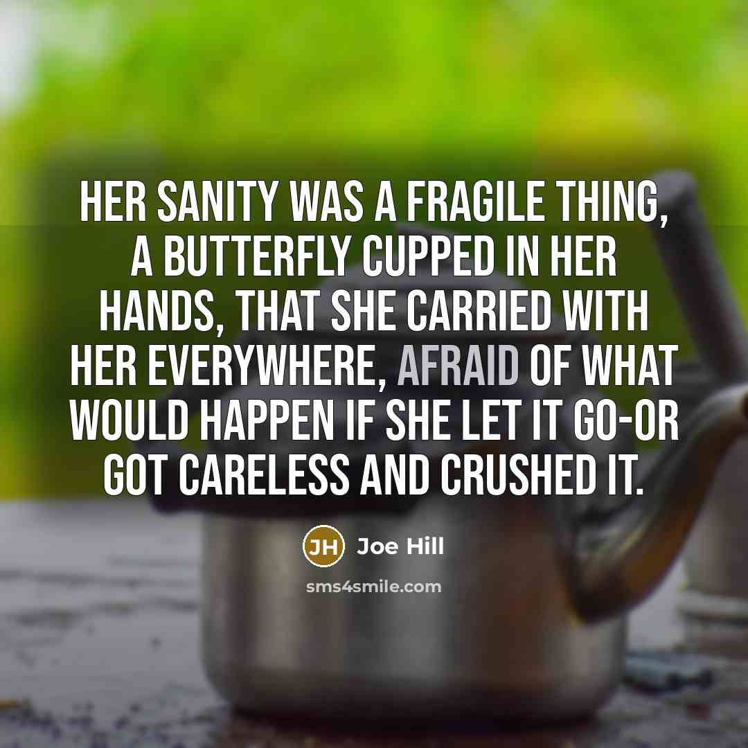 “Her sanity was a fragile thing, a butterfly cupped in…” quote by Joe Hill