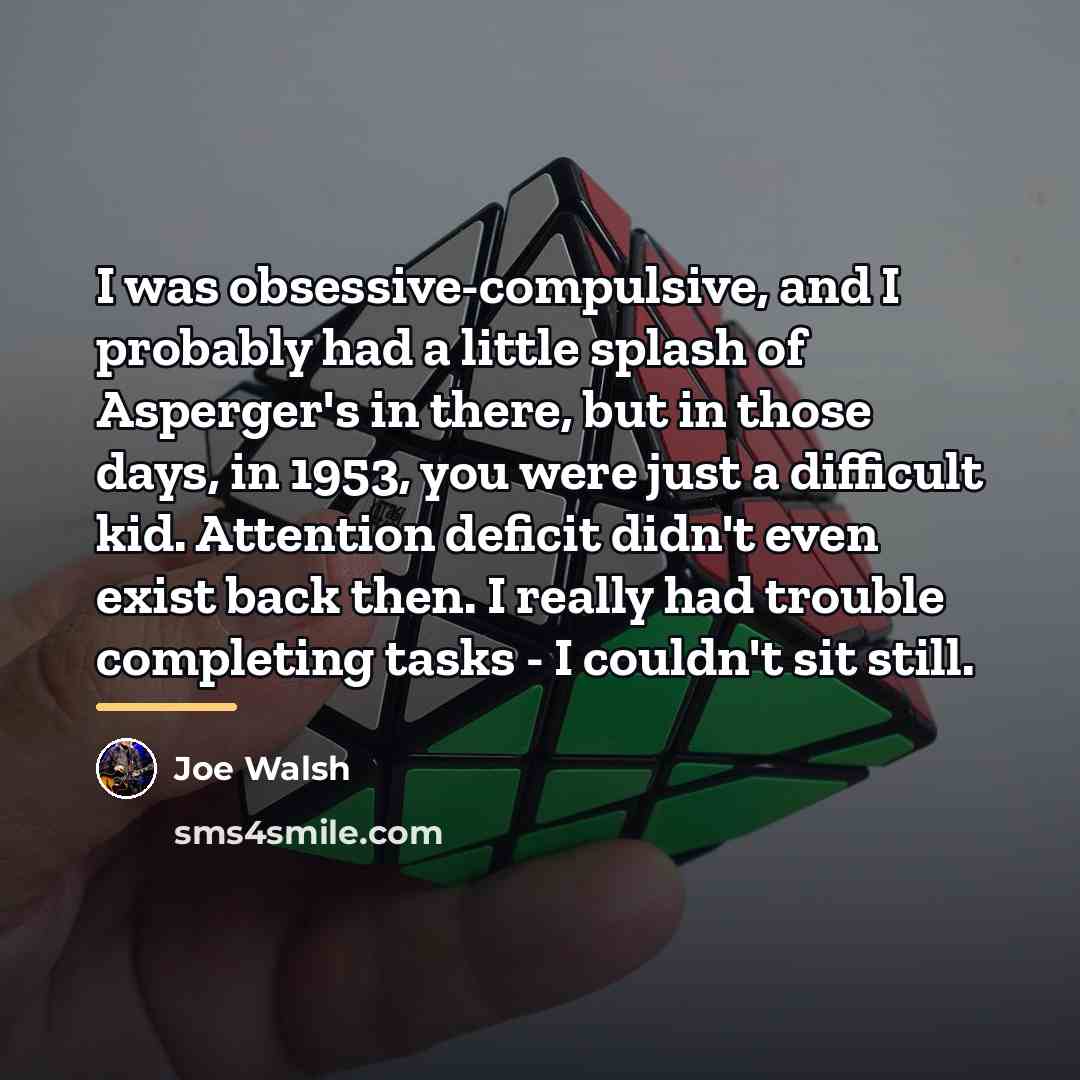 “I was obsessive-compulsive, and I probably had a little splash…” quote by Joe Walsh