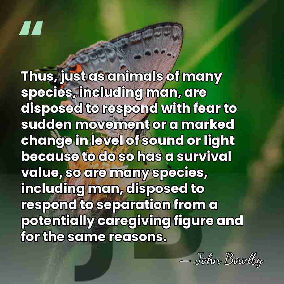Thus, just as animals of many species, including man, are disposed to&hellip; - John Bowlby
