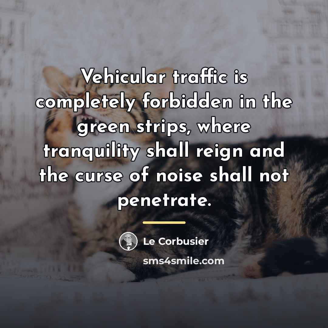 “Vehicular traffic is completely forbidden in the green strips, where…” quote by Le Corbusier