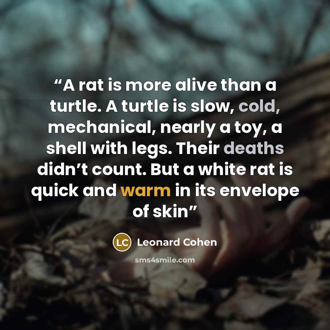 “A rat is more alive than a turtle. A turtle is slow, cold, mechanical, nearly a toy, a shell with legs. Their deaths didn’t count. But a white rat is quick and warm in its envelope of skin” quote by Leonard Cohen