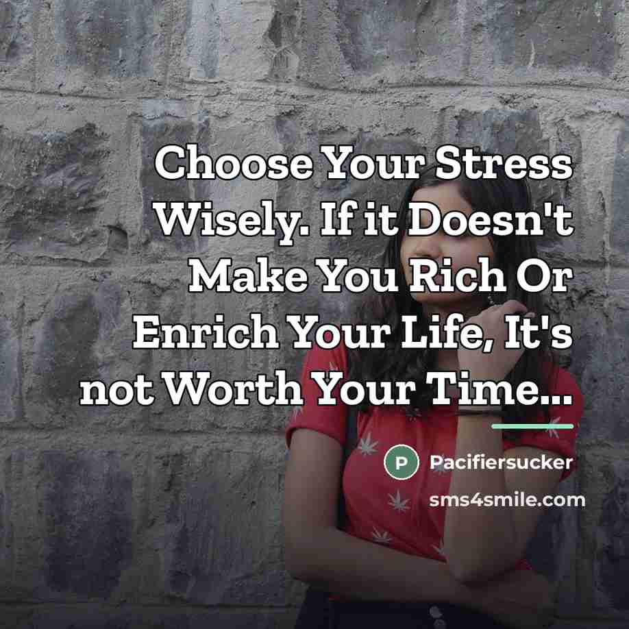“Choose Your Stress Wisely. If it Doesn't Make You Rich…” quote by Pacifiersucker