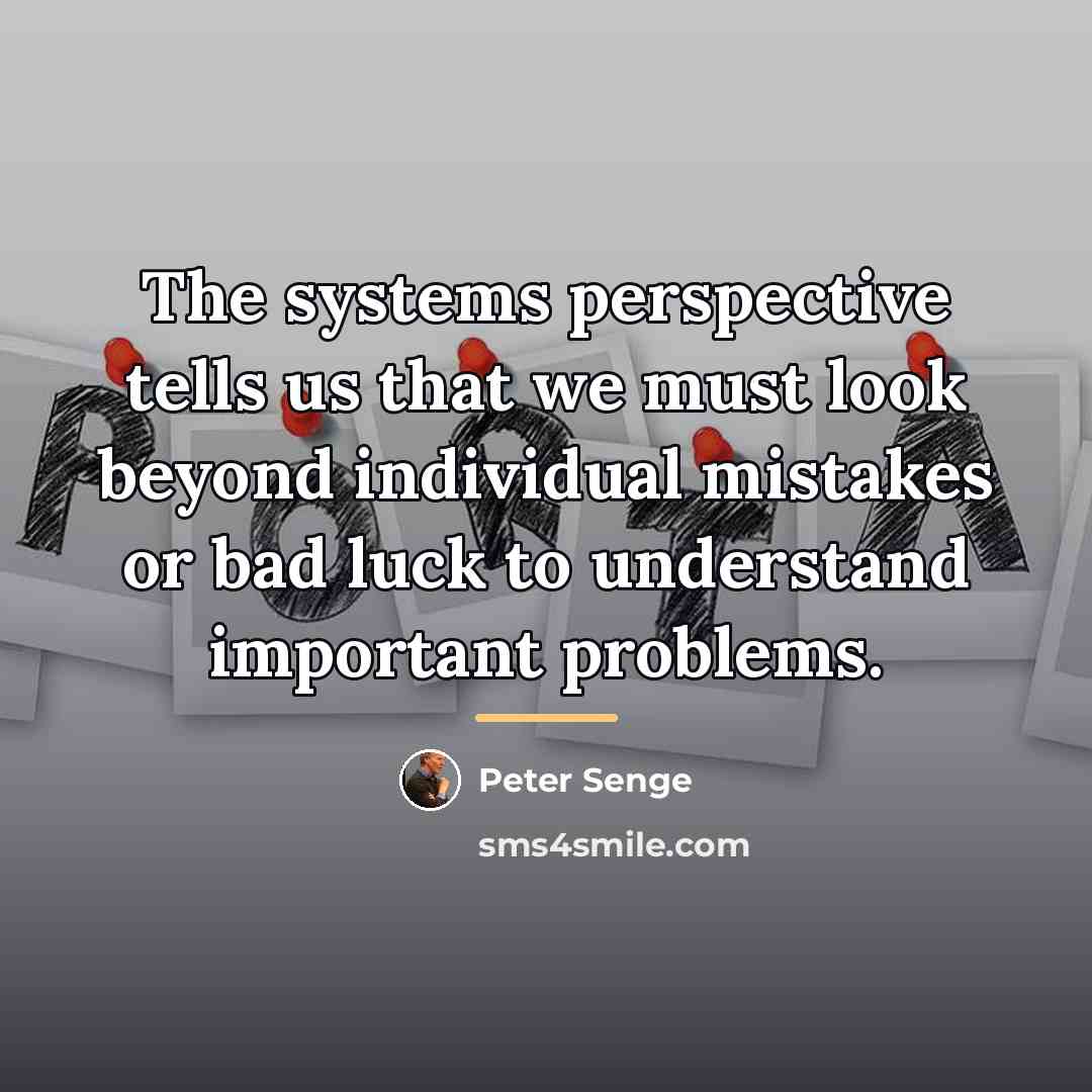 “The systems perspective tells us that we must look beyond…” quote by Peter Senge