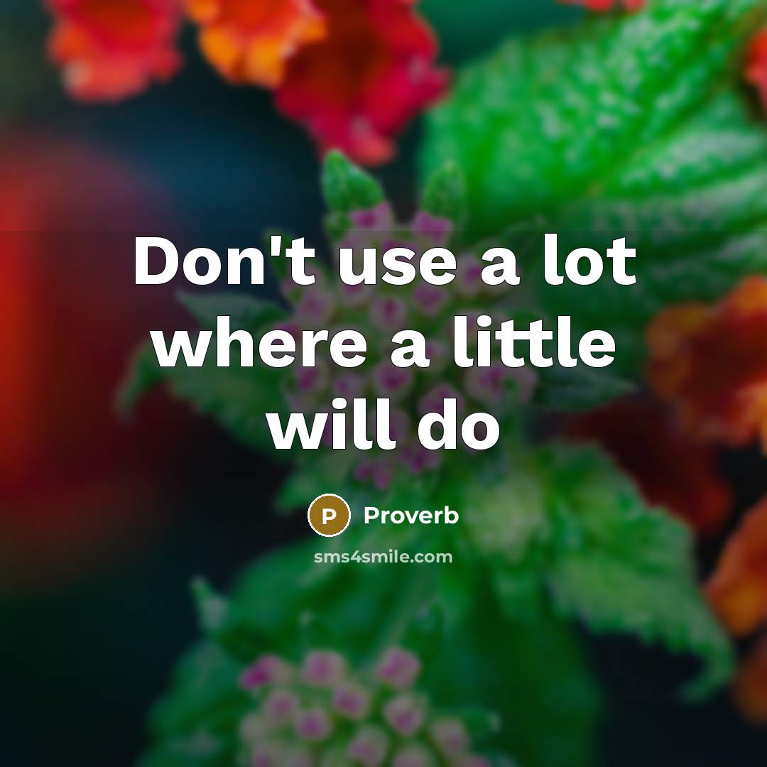 “Don't use a lot where a little will do…” quote by Proverb
