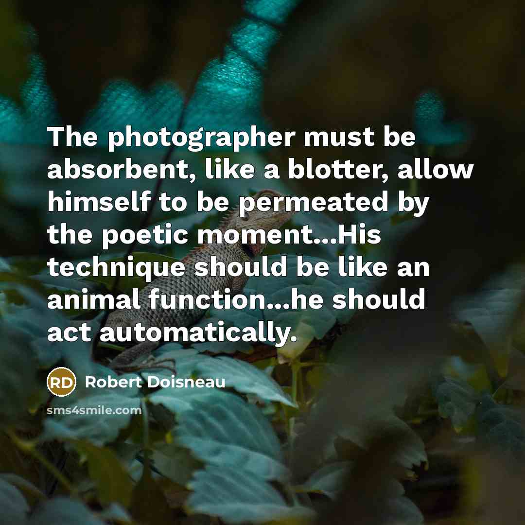 “The photographer must be absorbent, like a blotter, allow himself…” quote by Robert Doisneau