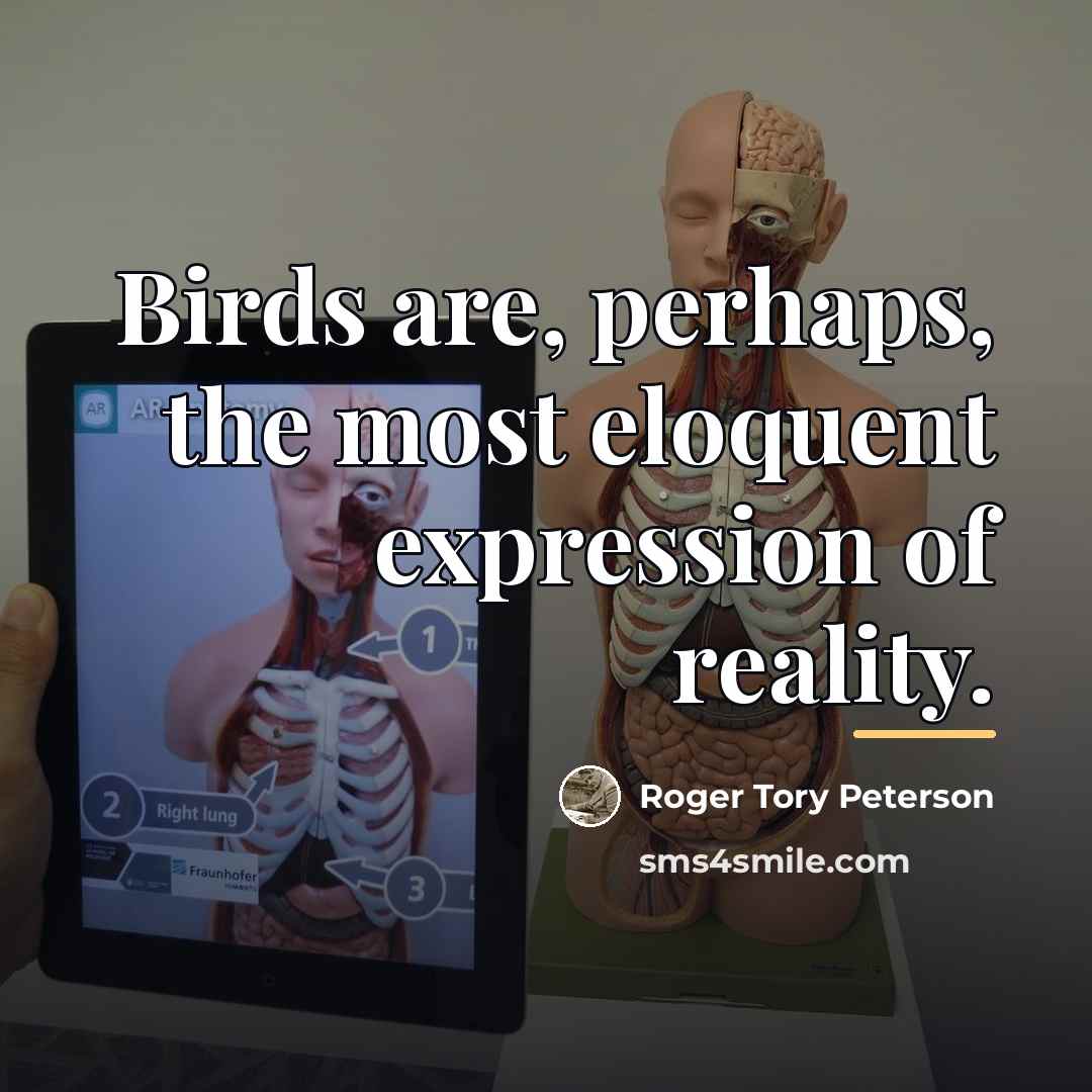 “Birds are, perhaps, the most eloquent expression of reality.…” quote by Roger Tory Peterson