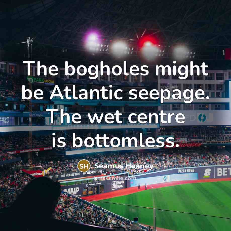 “The bogholes might be Atlantic seepage. The wet centre is…” quote by Seamus Heaney