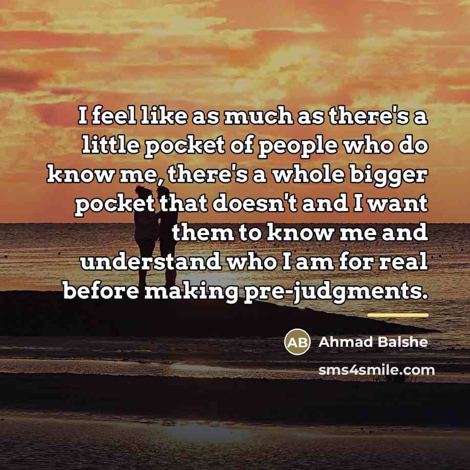 “I feel like as much as there's a little pocket…” quote by Ahmad Balshe