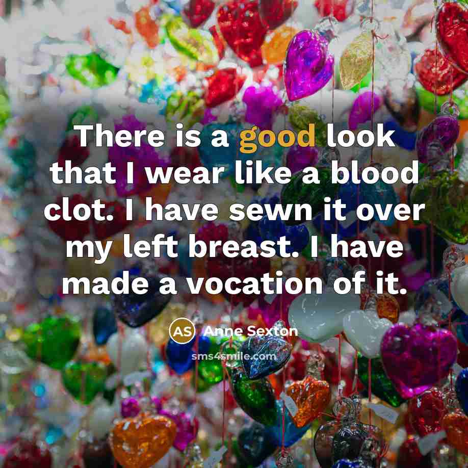 “There is a good look that I wear like a…” quote by Anne Sexton
