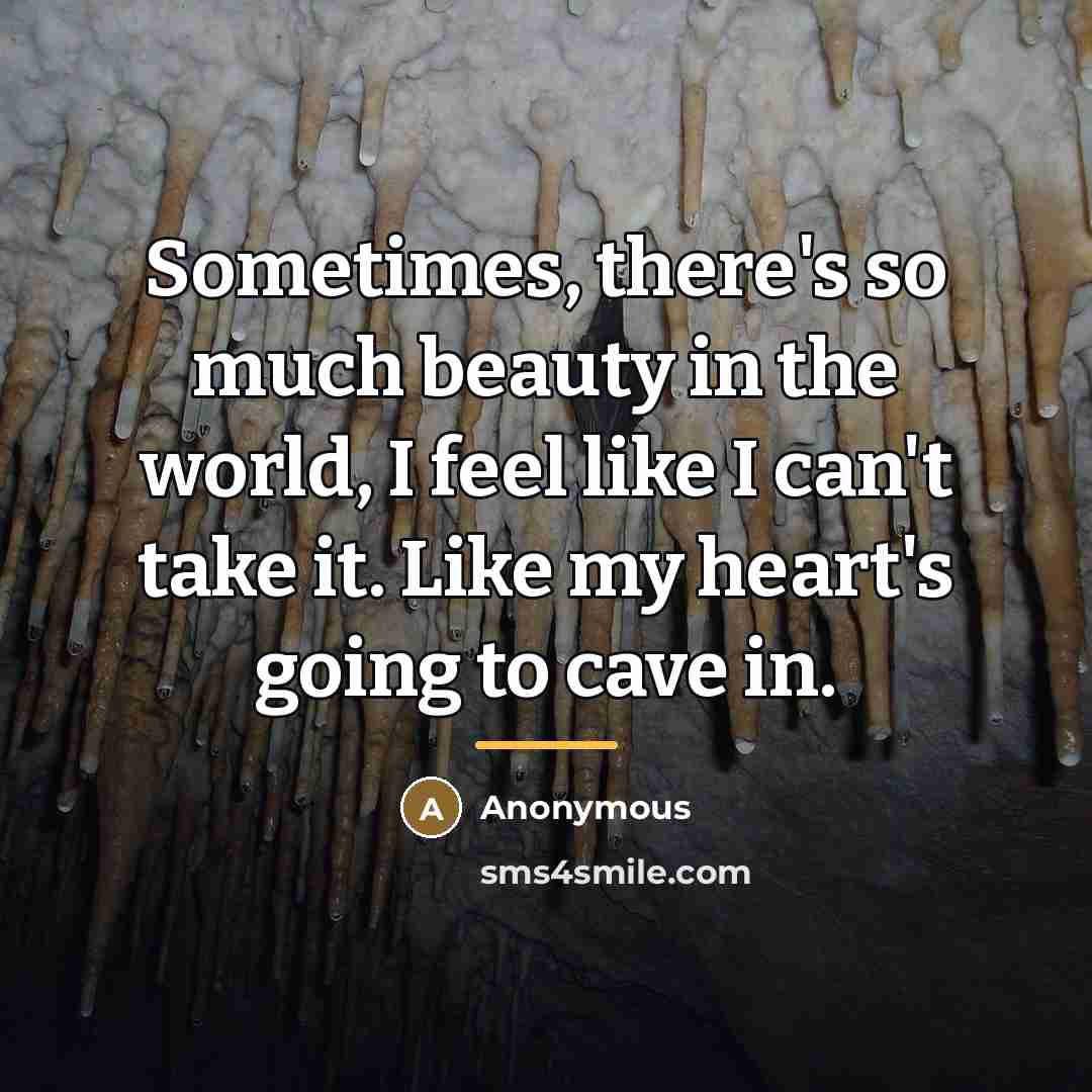 “Sometimes, there's so much beauty in the world, I feel…” quote by Ricky Fitts American Beauty