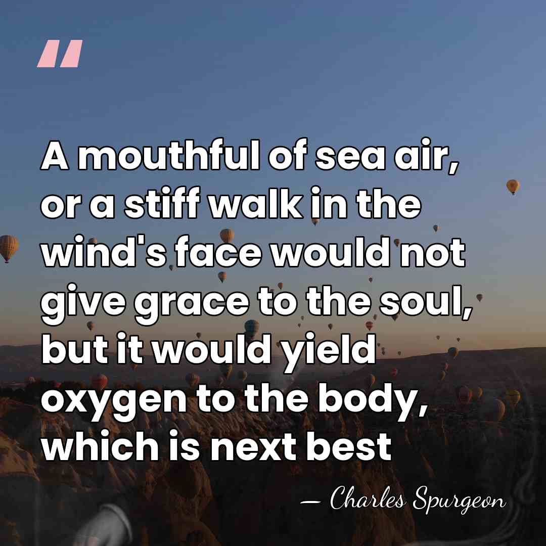 A mouthful of sea air, or a stiff walk in the wind's&hellip; - Charles Spurgeon