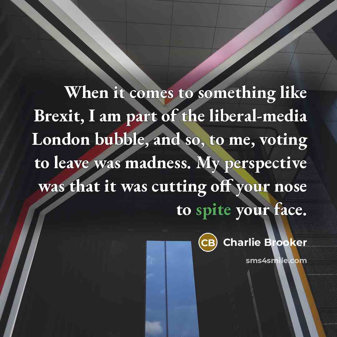 “When it comes to something like Brexit, I am part of the liberal-media London bubble, and so, to me, voting to leave was madness. My perspective was that it was cutting off your nose to spite your face.” quote by Charlie Brooker