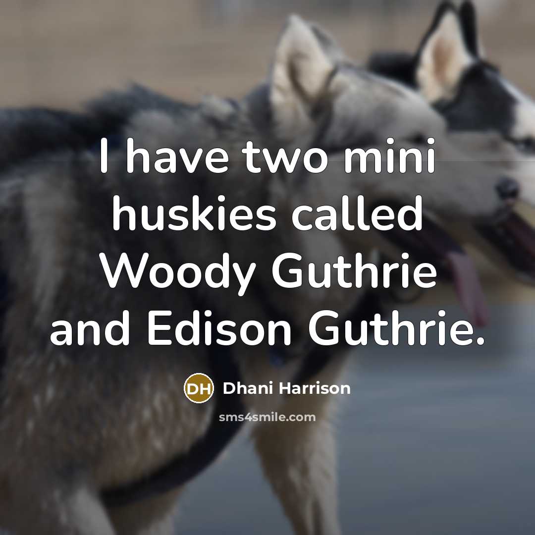 “I have two mini huskies called Woody Guthrie and Edison…” quote by Dhani Harrison