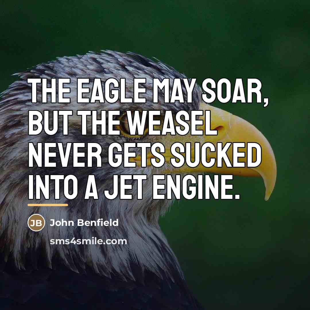 “The eagle may soar, but the weasel never gets sucked…” quote by John Benfield