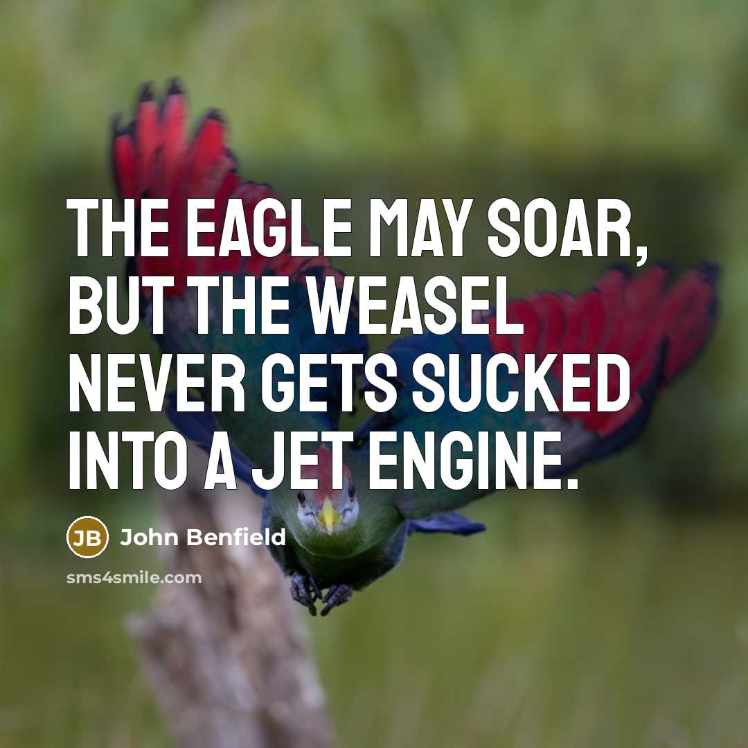 “The eagle may soar, but the weasel never gets sucked into a jet engine.” quote by John Benfield