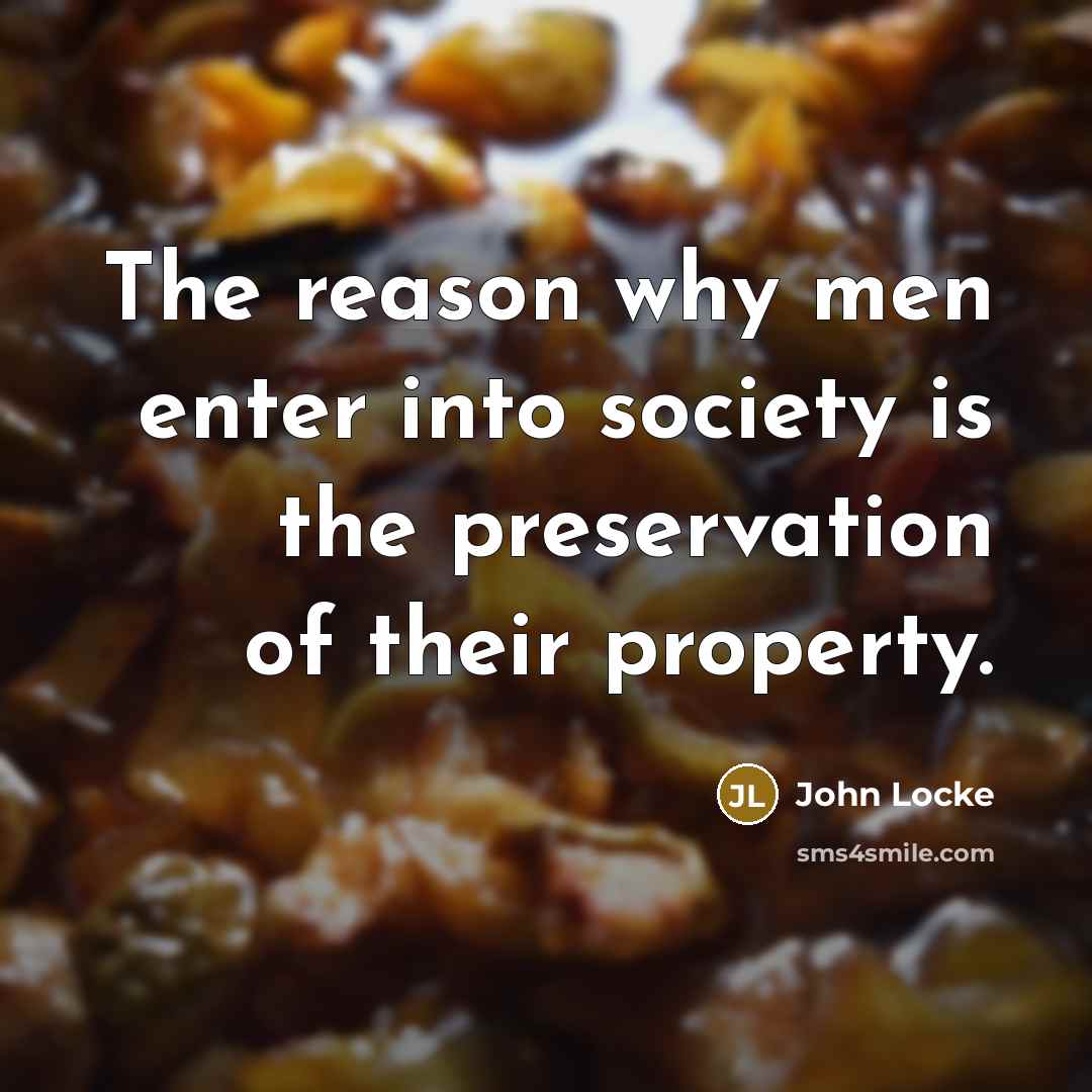 “The reason why men enter into society is the preservation…” quote by John Locke
