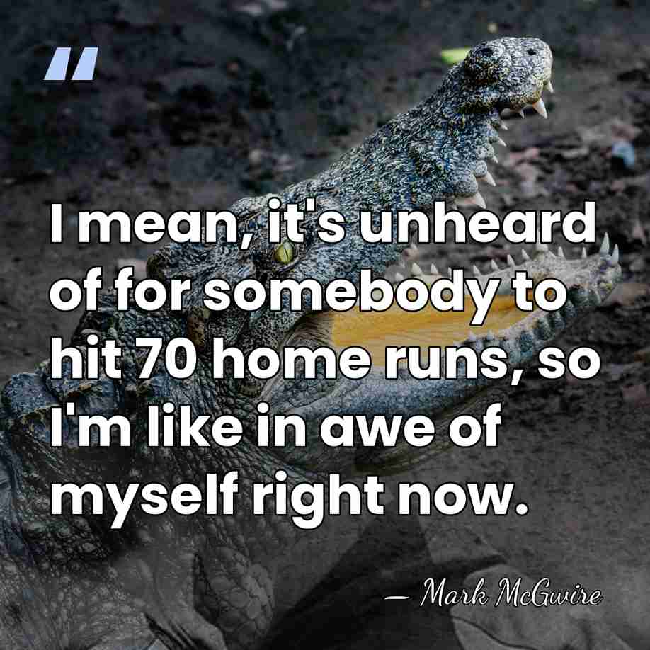 I mean, it's unheard of for somebody to hit 70 home runs,&hellip; - Mark McGwire