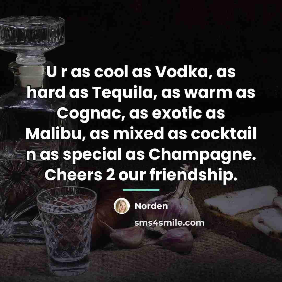 “U r as cool as Vodka, as hard as Tequila,…” quote by Norden
