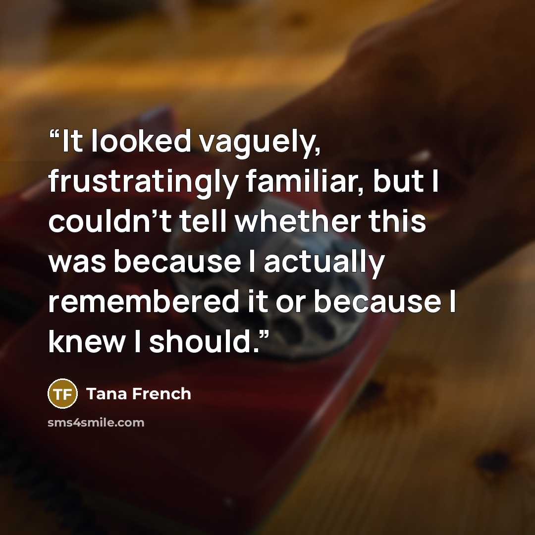 “It looked vaguely, frustratingly familiar, but I couldn’t tell whether this was because I actually remembered it or because I knew I should.” quote by Tana French