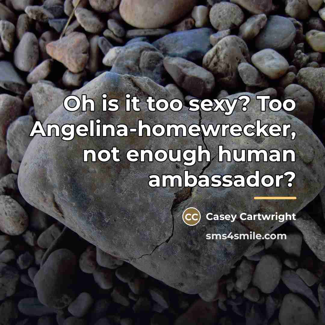 “Oh is it too sexy? Too Angelina-homewrecker, not enough human…” quote by Casey Cartwright