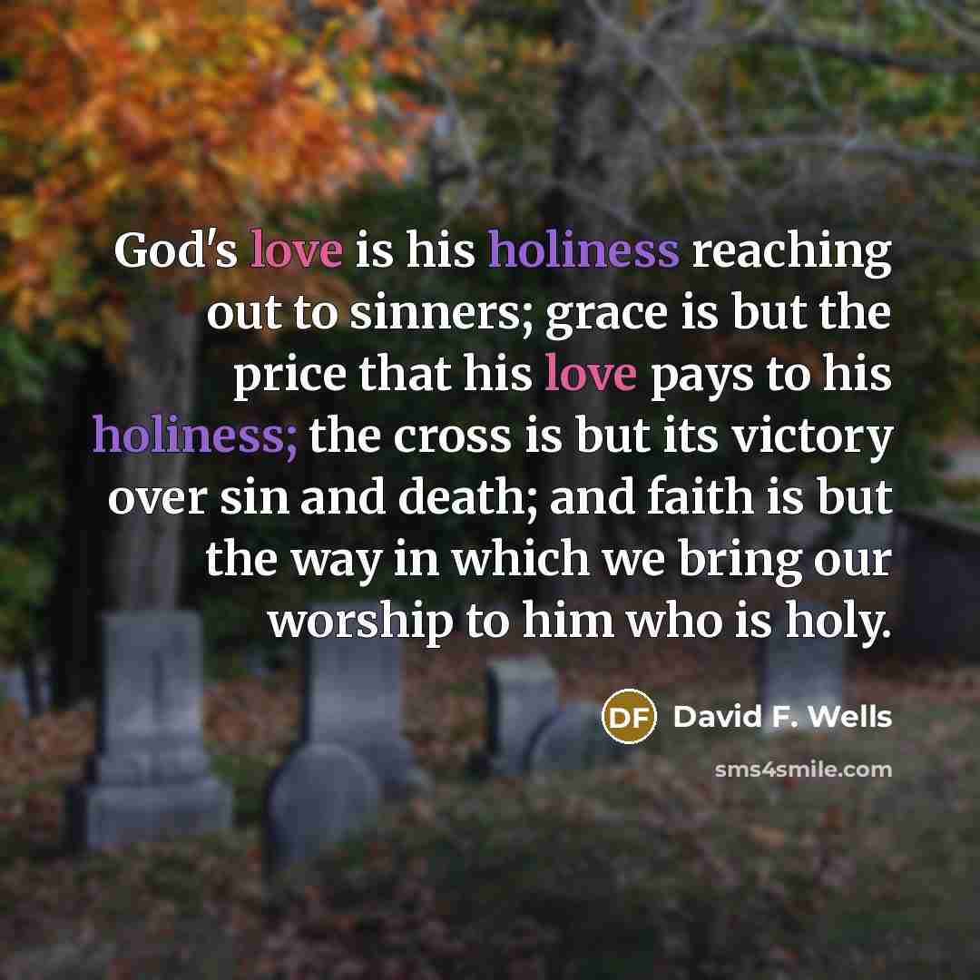 “God's love is his holiness reaching out to sinners; grace…” quote by David F. Wells