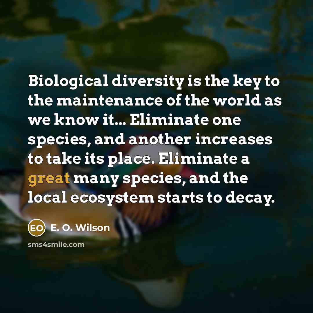“Biological diversity is the key to the maintenance of the…” quote by E. O. Wilson