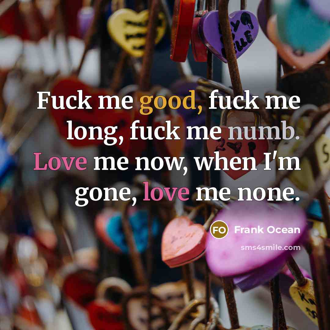 “Fuck me good, fuck me long, fuck me numb. Love…” quote by Frank Ocean