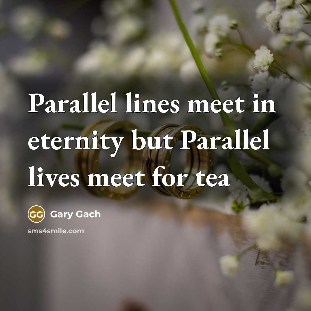 “Parallel lines meet in eternity but Parallel lives meet for…” quote by Gary Gach