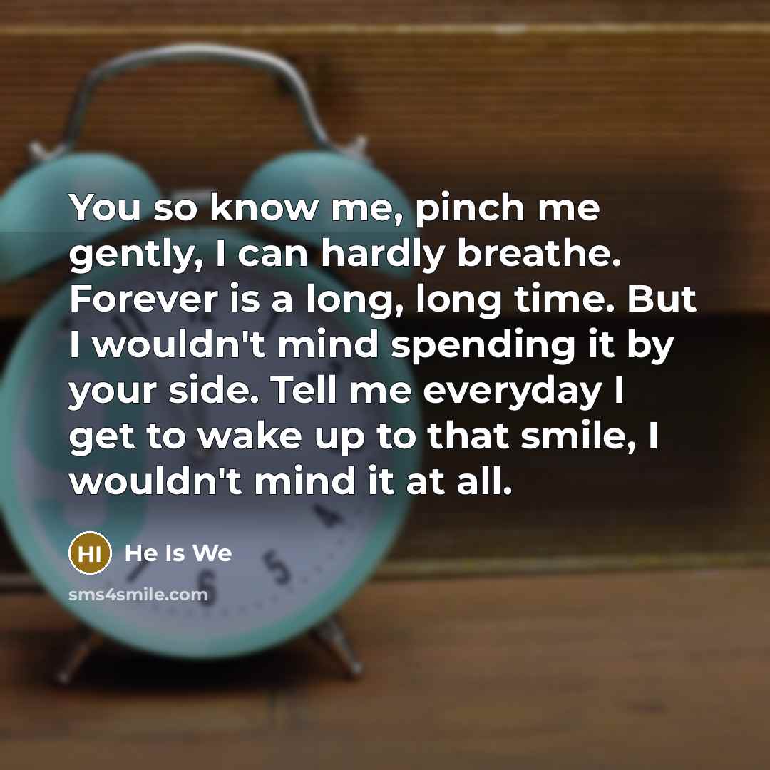 “You so know me, pinch me gently, I can hardly breathe. Forever is a long, long time. But I wouldn't mind spending it by your side. Tell me everyday I get to wake up to that smile, I wouldn't mind it at all.” quote by He Is We
