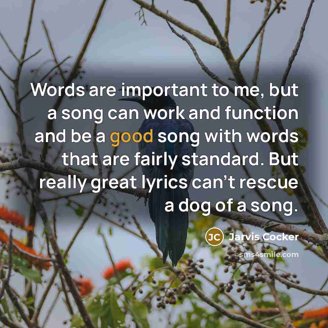 “Words are important to me, but a song can work…” quote by Jarvis Cocker