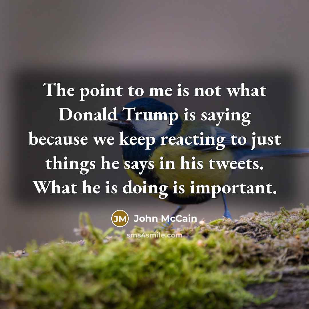 “The point to me is not what Donald Trump is…” quote by John McCain