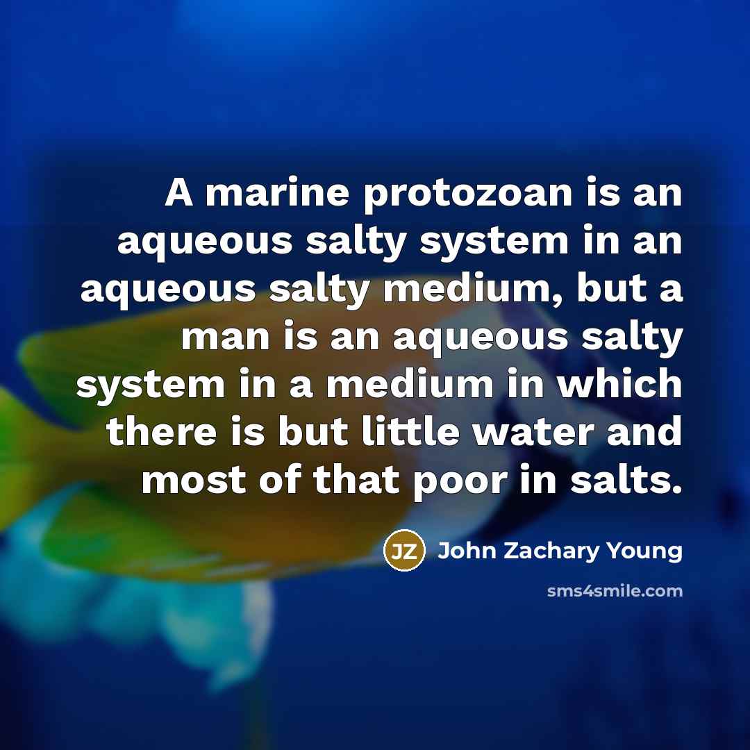 “A marine protozoan is an aqueous salty system in an…” quote by John Zachary Young