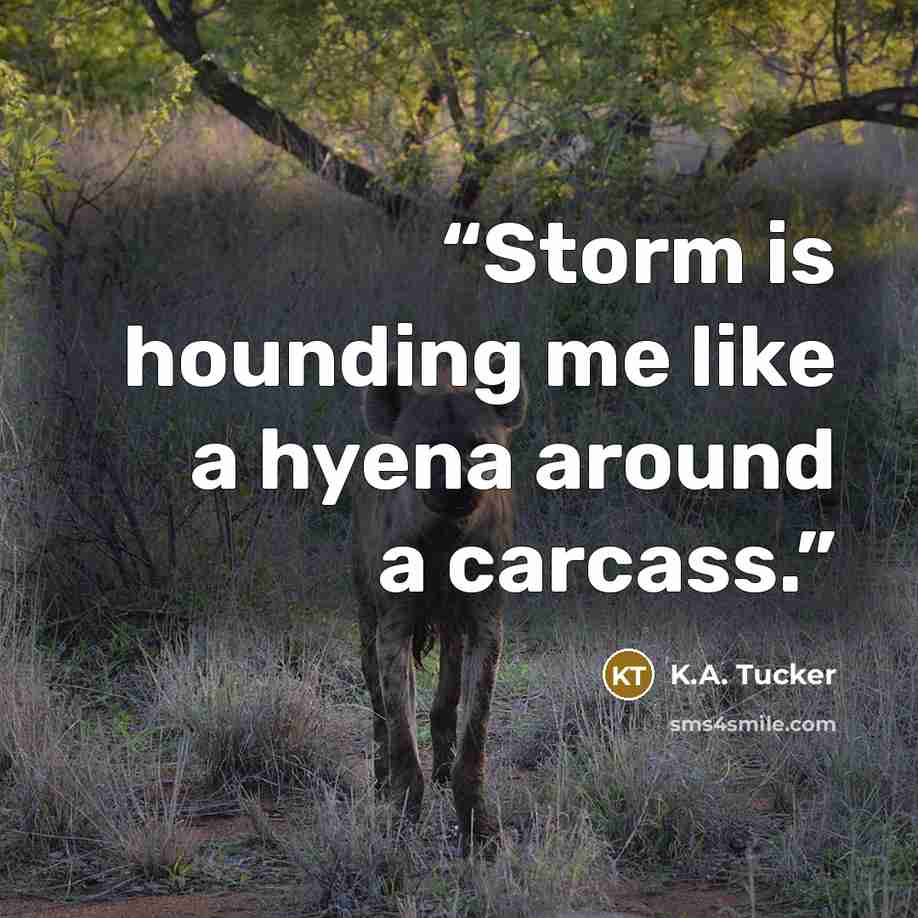 “Storm is hounding me like a hyena around a carcass.” quote by K.A. Tucker