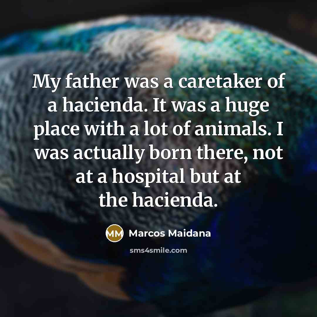 “My father was a caretaker of a hacienda. It was…” quote by Marcos Maidana