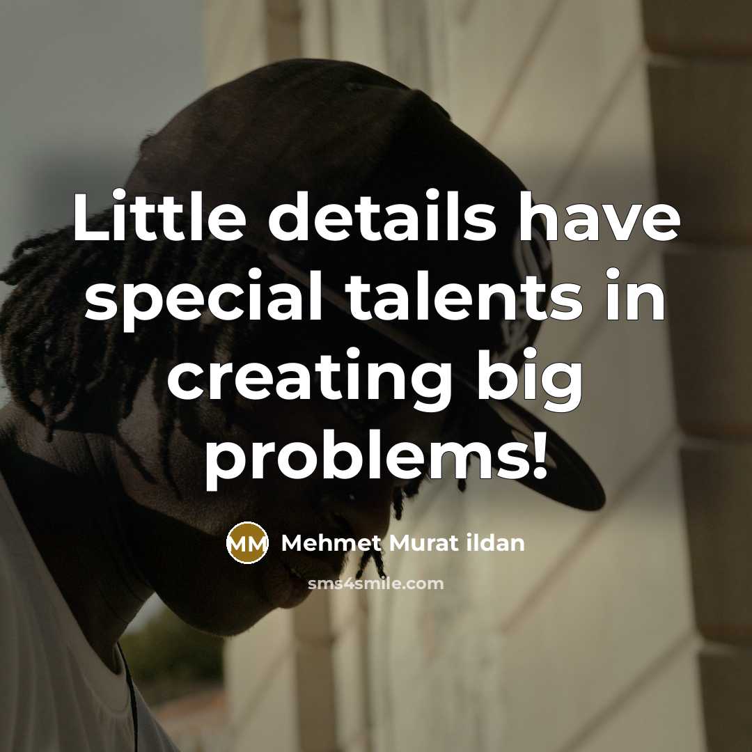 “Little details have special talents in creating big problems!…” quote by Mehmet Murat Ildan