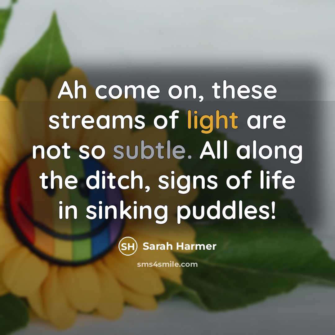 “Ah come on, these streams of light are not so subtle. All along the ditch, signs of life in sinking puddles!” quote by Sarah Harmer