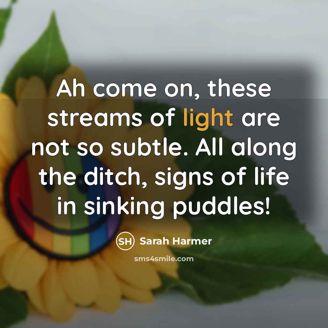 “Ah come on, these streams of light are not so…” quote by Sarah Harmer
