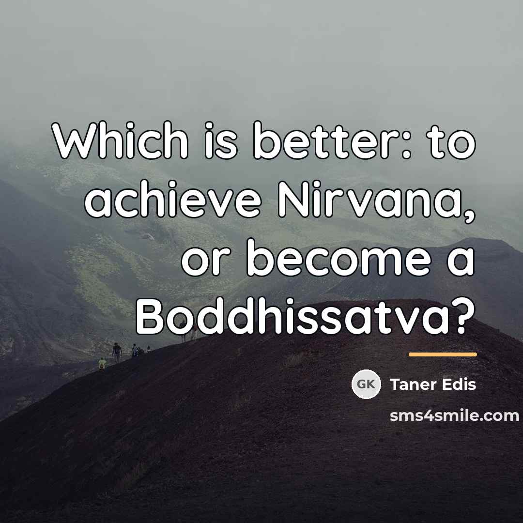 “Which is better: to achieve Nirvana, or become a Boddhissatva?…” quote by Taner Edis