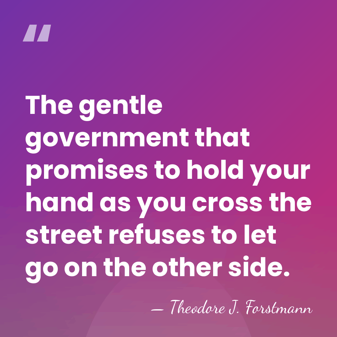 The gentle government that promises to hold your hand as you cross&hellip; - Theodore J. Forstmann