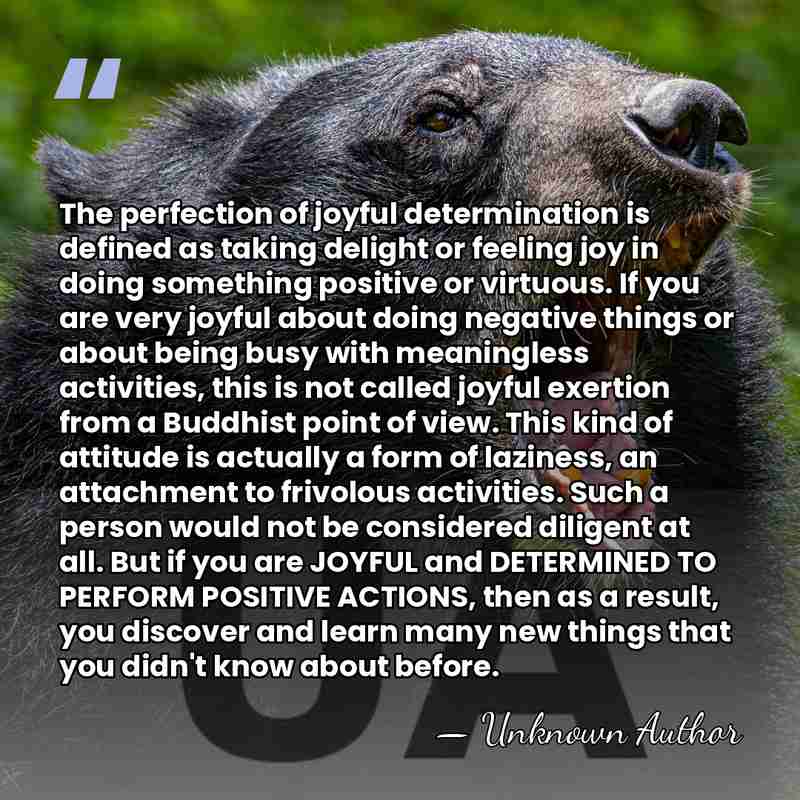 The perfection of joyful determination is defined as taking delight or feeling&hellip; - Unknown Author