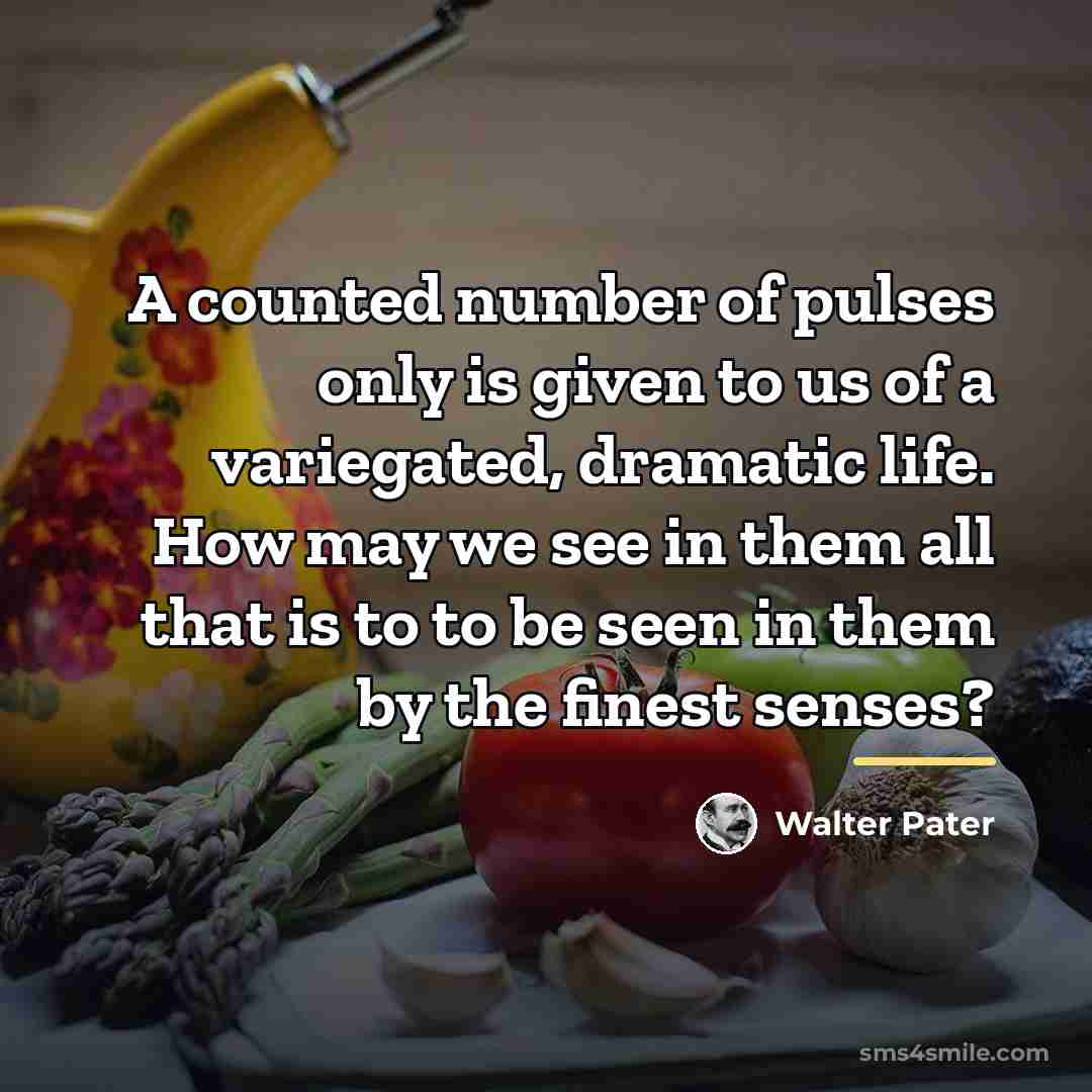 “A counted number of pulses only is given to us…” quote by Walter Pater
