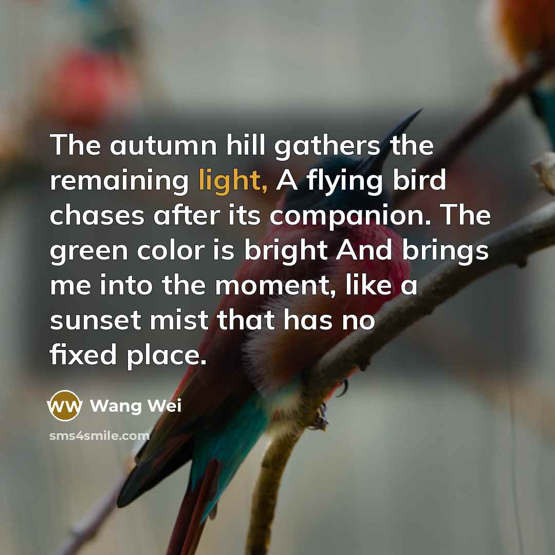 “The autumn hill gathers the remaining light, A flying bird…” quote by Wang Wei