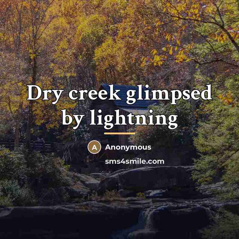 “Dry creek glimpsed by lightning…” quote by Anonymous