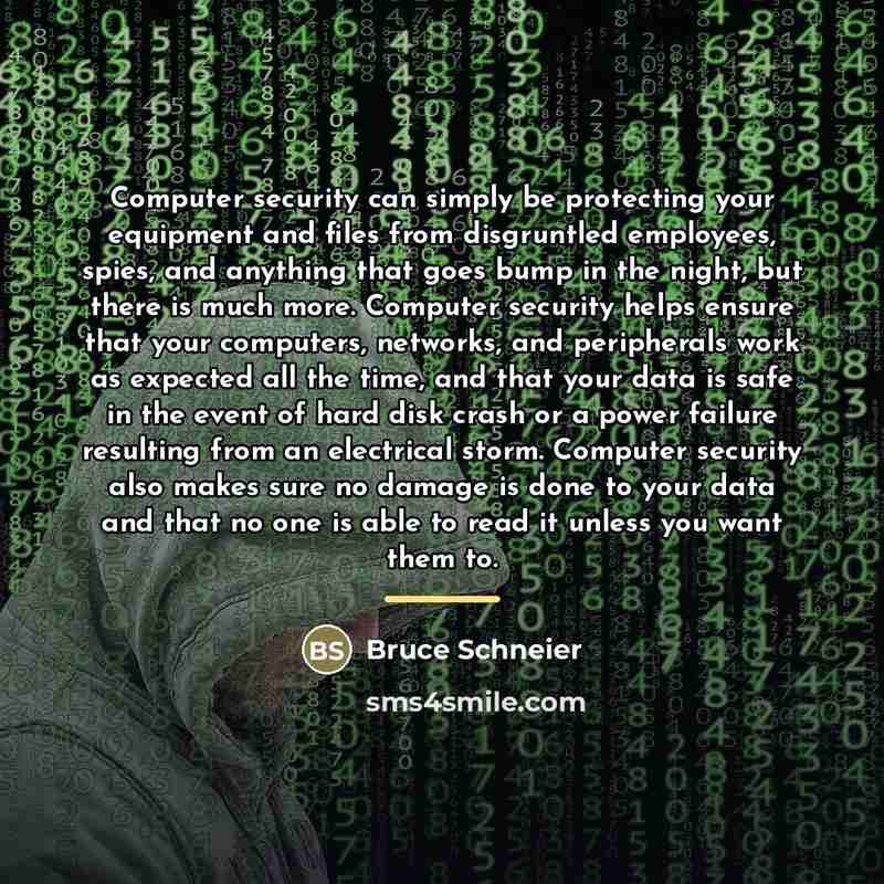“Computer security can simply be protecting your equipment and files…” quote by Bruce Schneier