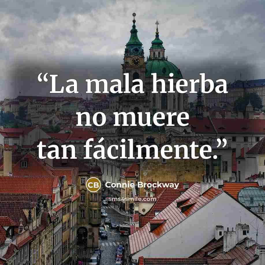 “La mala hierba no muere tan fácilmente.” quote by Connie Brockway