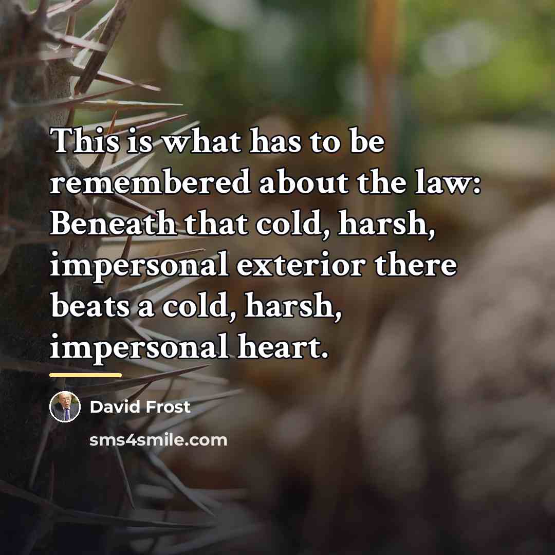 “This is what has to be remembered about the law:…” quote by David Frost
