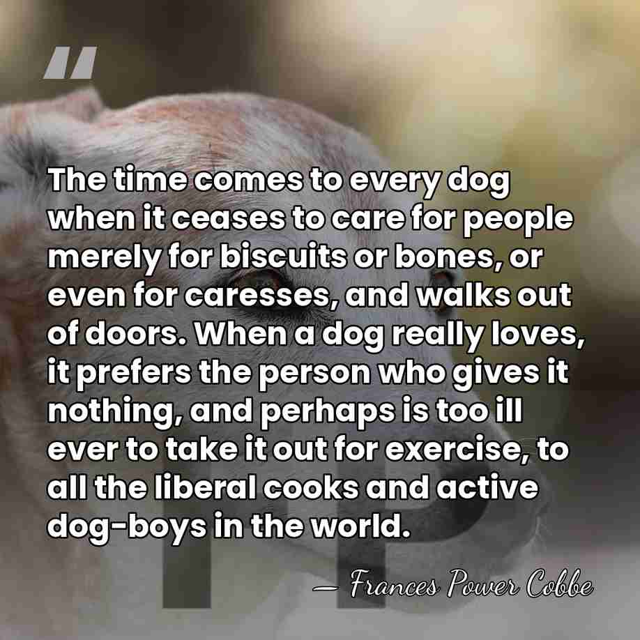 The time comes to every dog when it ceases to care for&hellip; - Frances Power Cobbe