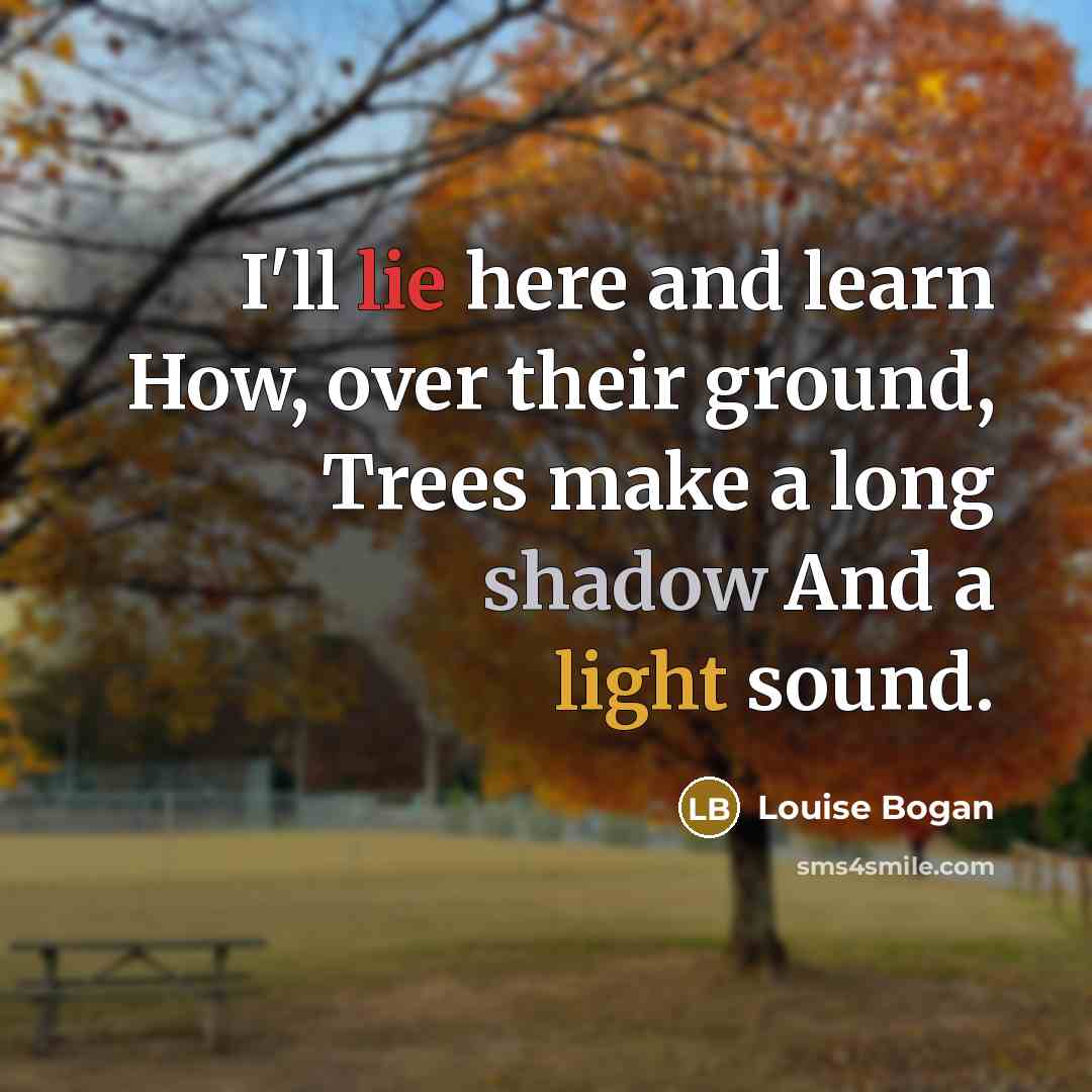 “I'll lie here and learn How, over their ground, Trees…” quote by Louise Bogan
