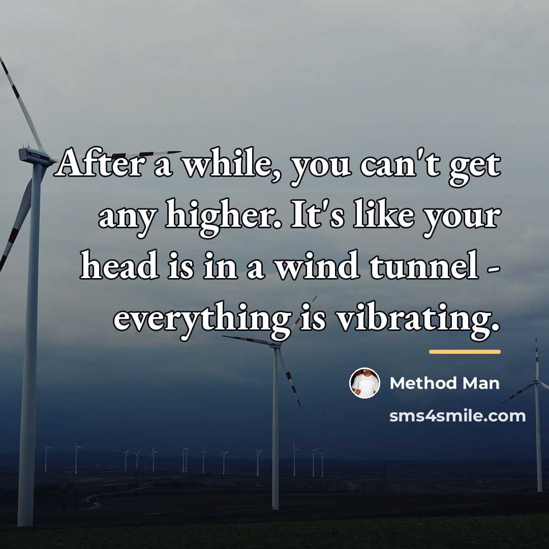 “After a while, you can't get any higher. It's like…” quote by Method Man